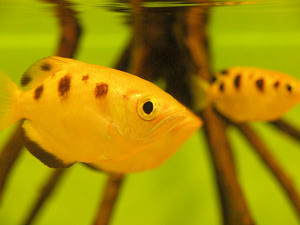 20100519_356shuusei.jpg