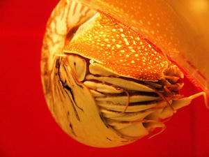 20100519_385shuusei.jpg