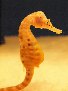 20100519_391shuusei.jpg