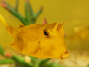 20100519_414shuusei.jpg