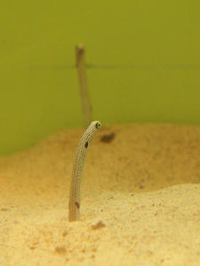 20100519_417shuusei.jpg