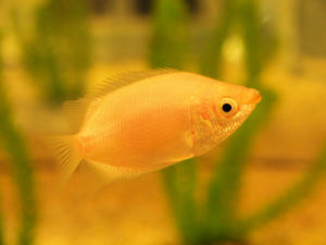 20100519_419shuusei.jpg