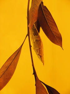 20100519_429shuusei.jpg