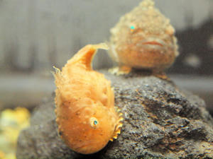 20100519_462shuusei.jpg