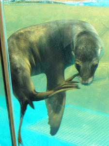 20100519_431shuusei.jpg