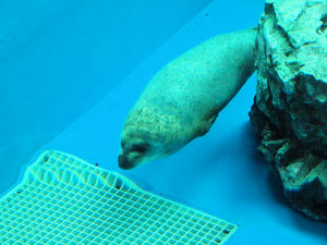 20100519_489shuusei.jpg