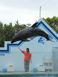 20100519_148shuusei.jpg