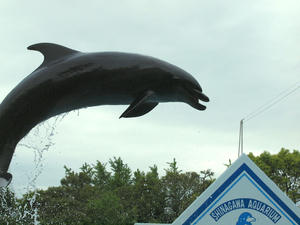 20100519_150shuusei.jpg