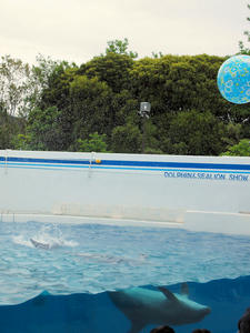 20100519_171shuusei.jpg
