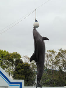 20100519_196shuusei.jpg