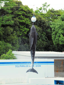 20100519_539shuusei.jpg