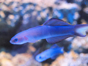 20100519_722shuusei.jpg
