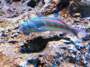 20100519_762shuusei.jpg