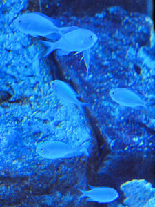 20100519_766shuusei.jpg