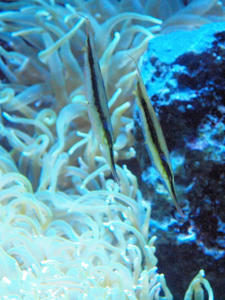 20100519_780shuusei.jpg