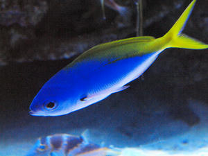 20100519_781shuusei.jpg