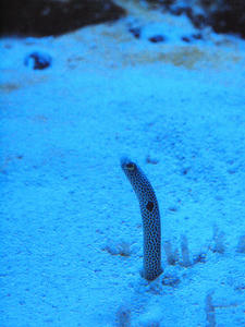 20100519_799shuusei.jpg