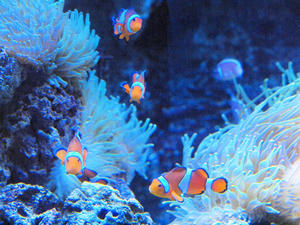 20100519_804shuusei.jpg