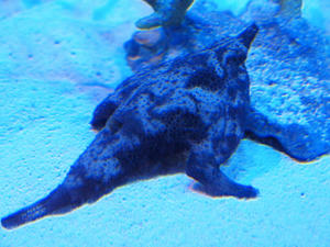 20100519_1059shuusei.jpg