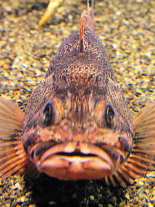20100519_1050shuusei.jpg