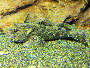 20100519_1045shuusei.jpg