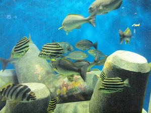 20100519_1041shuusei.jpg
