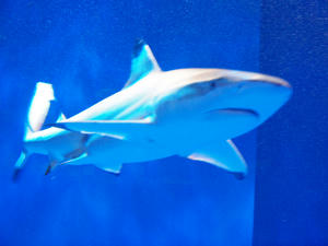 20100519_1036shuusei.jpg