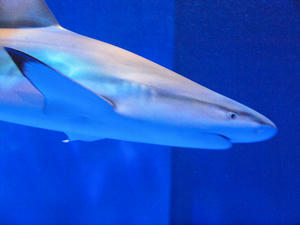 20100519_1029shuusei.jpg
