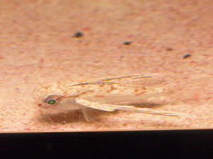 20100519_1023shuusei.jpg