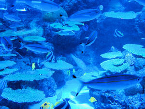 20100519_692shuusei.jpg