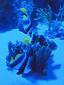 20100519_695shuusei.jpg