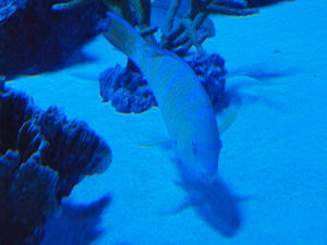 20100519_704shuusei.jpg