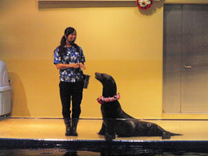20100519_1067shuusei.jpg