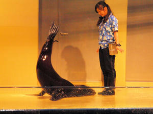 20100519_1080shuusei.jpg