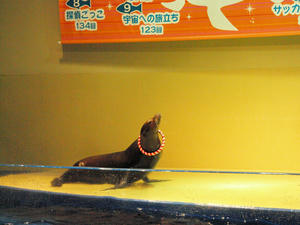 20100519_1102shuusei.jpg