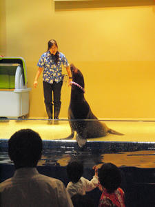 20100519_1111shuusei.jpg