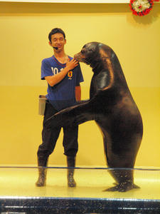 20100519_1125shuusei.jpg