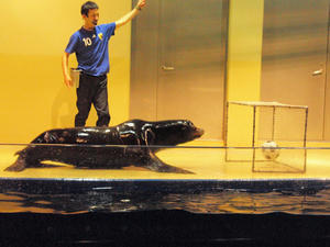 20100519_1143shuusei.jpg
