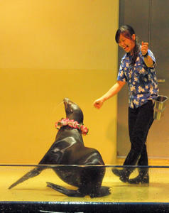 20100519_1147shuusei.jpg
