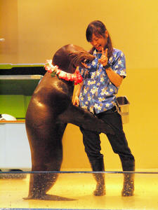 20100519_1158shuusei.jpg