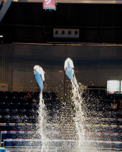20100519_1165shuusei.jpg