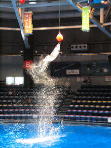 20100519_1186shuusei.jpg
