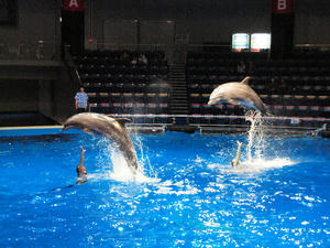 20100519_1205shuusei.jpg