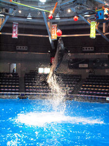 20100519_1228shuusei.jpg