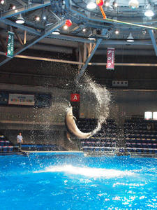 20100519_1236shuusei.jpg