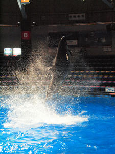 20100519_1251shuusei.jpg