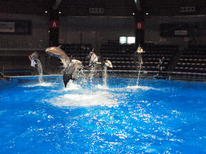 20100519_1256shuusei.jpg