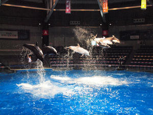 20100519_1263shuusei.jpg