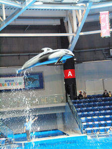 20100519_827shuusei.jpg
