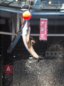 20100519_856shuusei.jpg